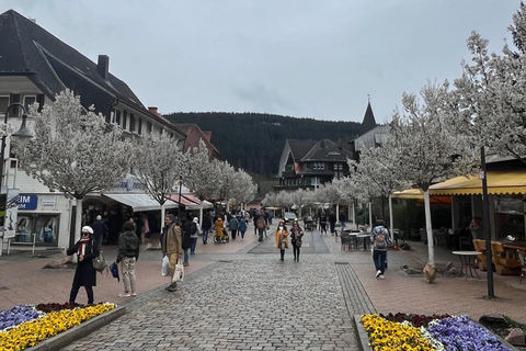 Vanuit Bazel: privé-excursie naar het Zwarte Woud, watervallen en meren