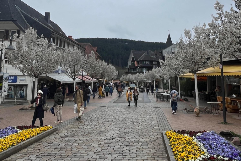 Vanuit Bazel: privé-excursie naar het Zwarte Woud, watervallen en meren
