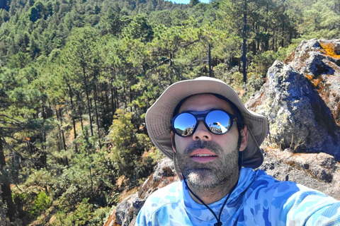 Oaxaca: Sierra Norte Ixtepeji Guided Hike & Lunch, Half-Day