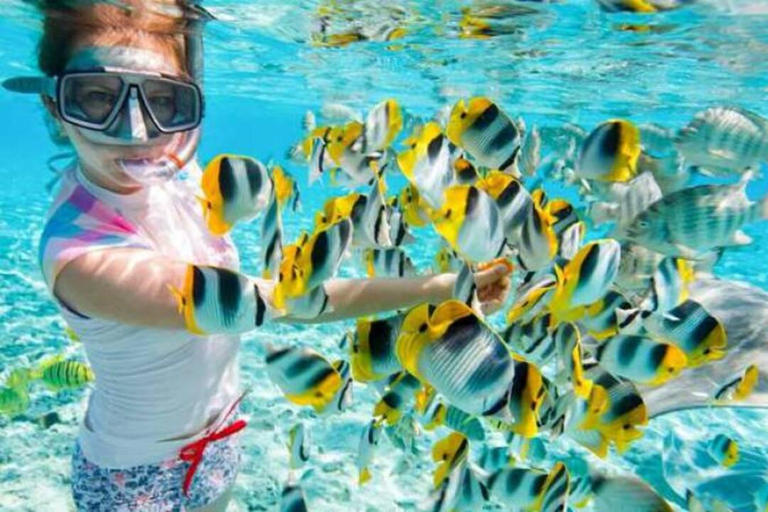 Zanzibar: Mnemba Island Delfintur och simning med sköldpaddorPrivat tur med upphämtning och avlämning på hotellet, inklusive lunch