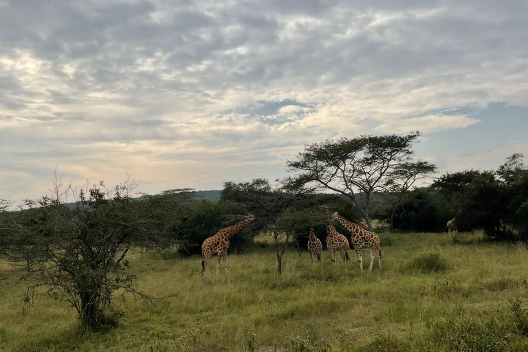 Uganda: Lake Mburo & Lake Bunyonyi 4-Day Safari Tour