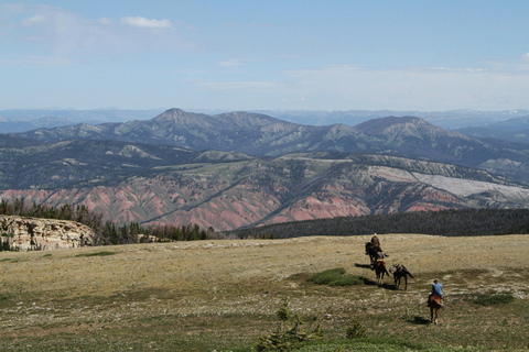 Cave Creek: Horse Ride Tour in National Forest & Desert 1-Hour Horse Ride Tour in National Forest & Desert