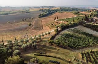 Siena: Kellereibesichtigung/Verkostung mit dem Besitzer/Macher der ausgezeichneten Weine