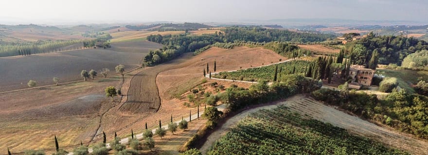Sienne : Visite d'un établissement vinicole/dégustation avec le propriétaire/fabricant des vins primés