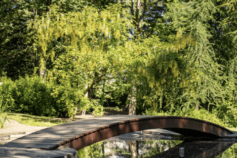 Waterval van de Goden + Botanische tuin &amp; Stadswandeling.