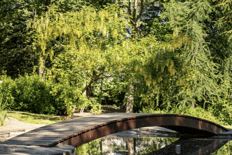 Gudarnas vattenfall + Botanisk trädgård &amp; Stadspromenad.