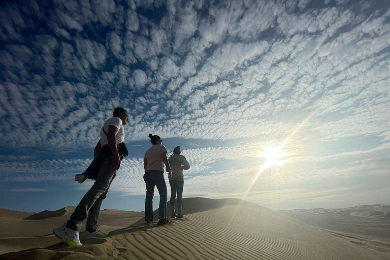 Exclusive: Hacienda Tacama from Lima + Paracas + Ica