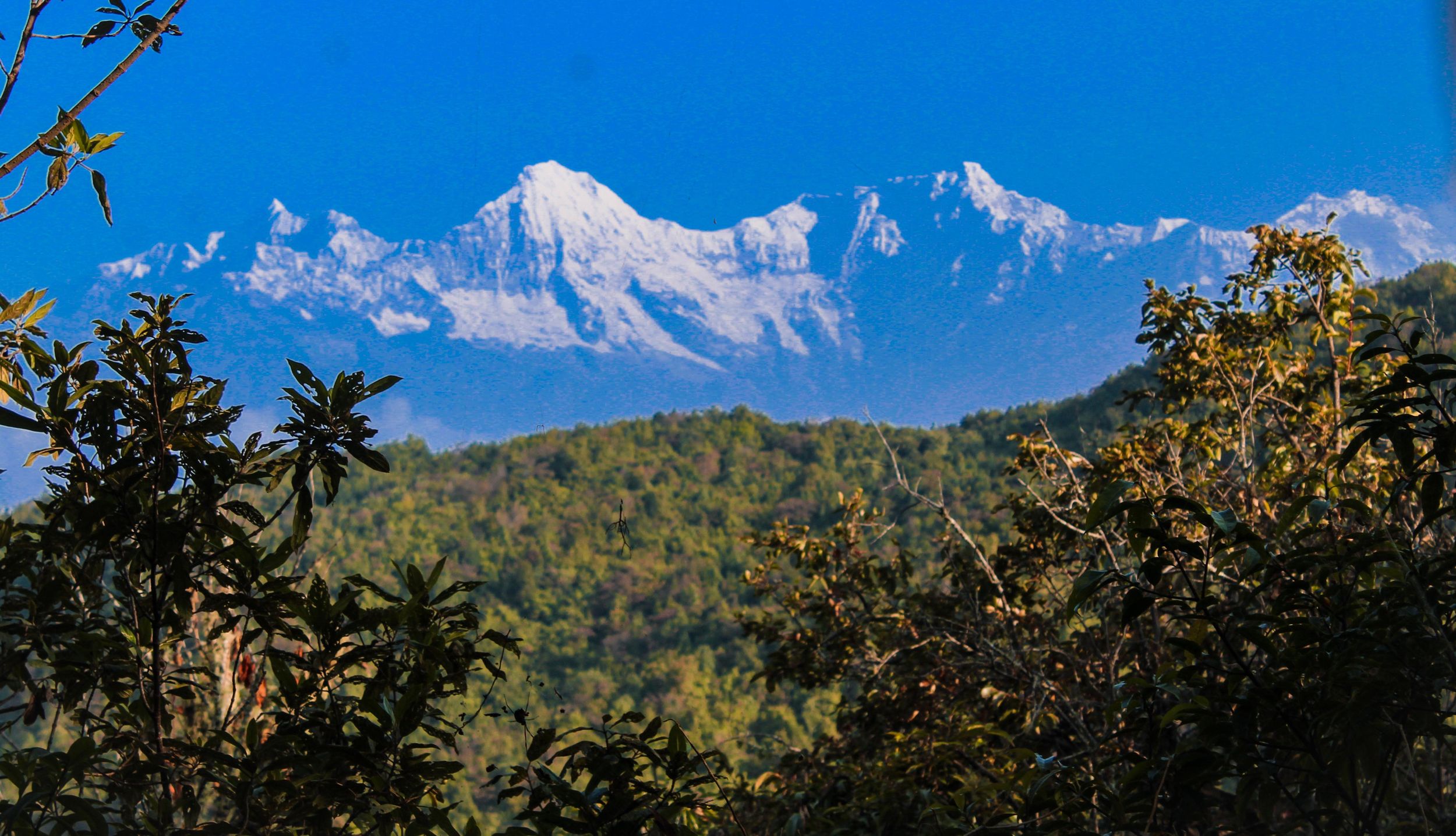 Dhading: 4-tägige Gastfamilien-Tour im Dorf Khalte mit Mahlzeiten