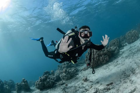 Moorea : Baptême de plongée sous marine