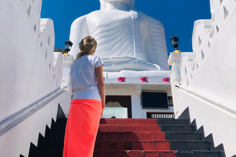 Kandy privet day tour z pinnawala i plantacją herbatyZaczynając od obszaru Negombo