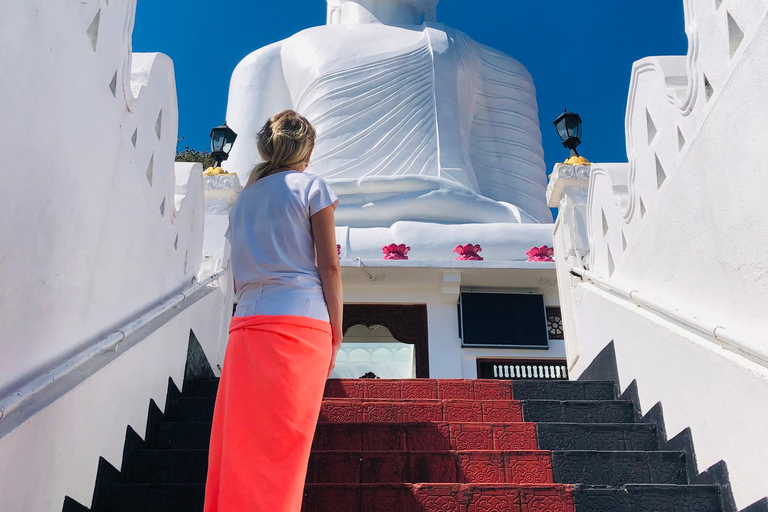 Kandy privet day tour z pinnawala i plantacją herbatyZaczynając od obszaru Negombo