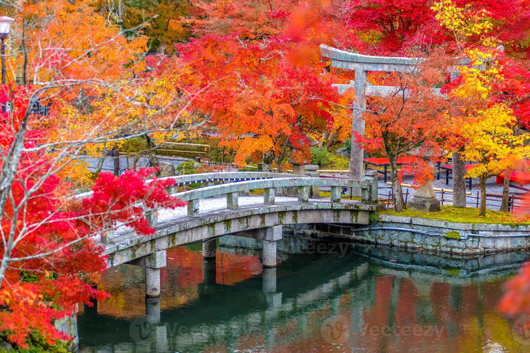 Kyoto: Higashiyama Hues: Discover Kyoto's Autumn Magic