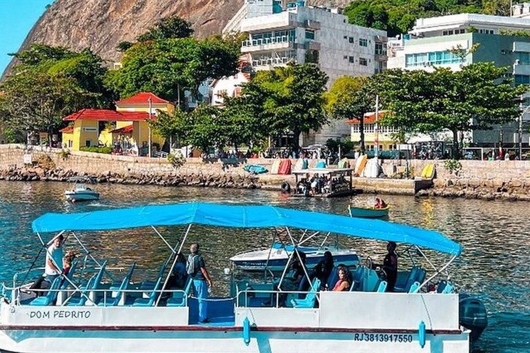 Rio de Janeiro: Catamaran Tour of Guanabara Bay Rio de Janeiro: Catamaran Ride on Guanabara Bay