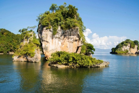 Parque Nacional de Los Haitises: Excursión en barco y a pie con almuerzoDesde Punta Cana con Traslado