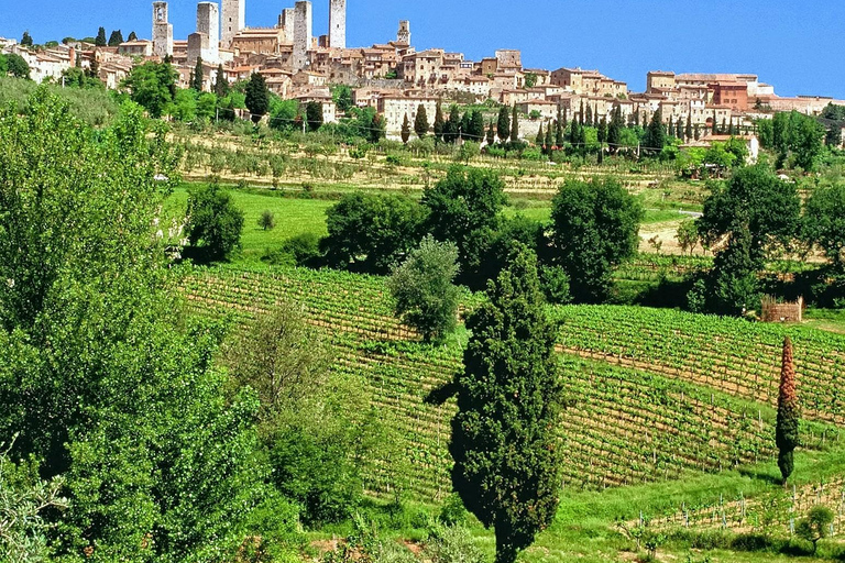 3 Dagen Toscane Privétour