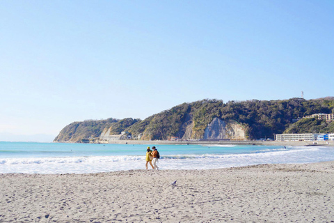 1-Day Tour of Kamakura Buddha, Enoshima, shrine from TokyoShinjuku station pick-up 8:30am