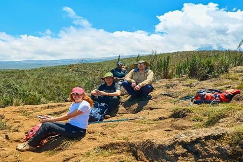 KILIMANJARO: The best 6 days Lemosho Route climbing