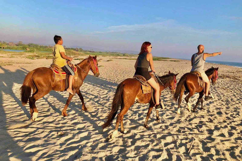 From Huatulco: Beach Horseback Riding Experience Regular Beach Horseback Riding Tour (2 hours)