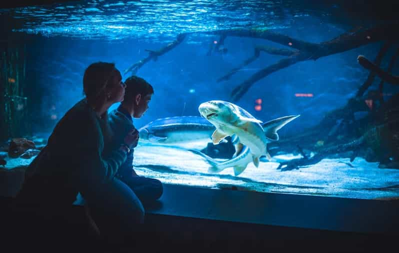 Bergen: Bergen Aquarium Entry Ticket | GetYourGuide