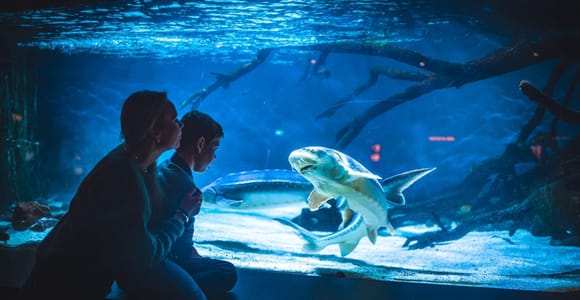 Bergen: Bergen Aquarium Entry Ticket