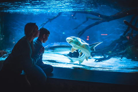 Bergen: Ticket de entrada al Acuario de Bergen