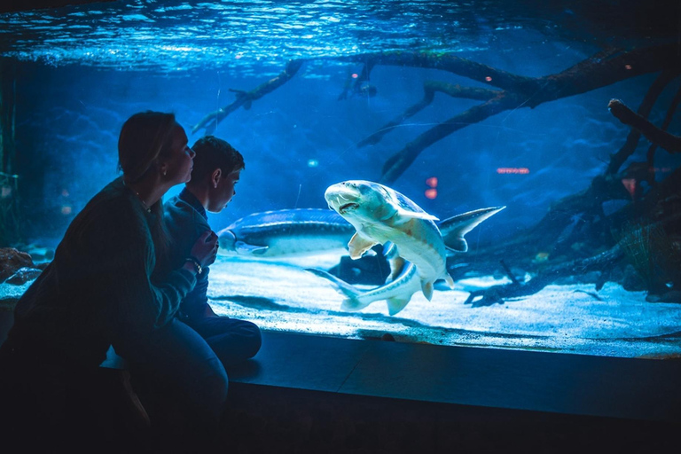 Bergen: Ticket de entrada al Acuario de Bergen