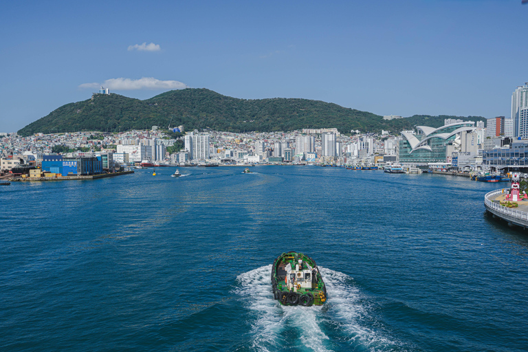 Busan: Power Walk Tour with a Local Mate