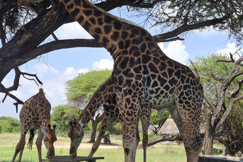 Mombasa:Nguuni Nature Sanctuary and Sundowner