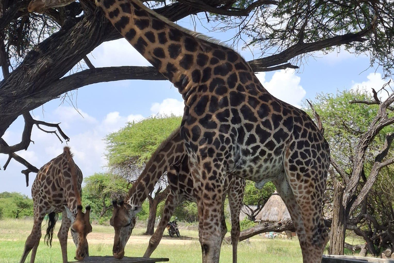 Mombasa:Nguuni Nature Sanctuary and Sundowner