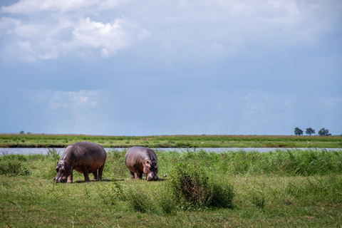 Chobe River Safari Cruise with Professional Guide
