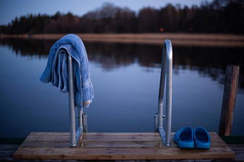 Stockholm: Traditionele sauna met ijsduik in de Baltische Zee