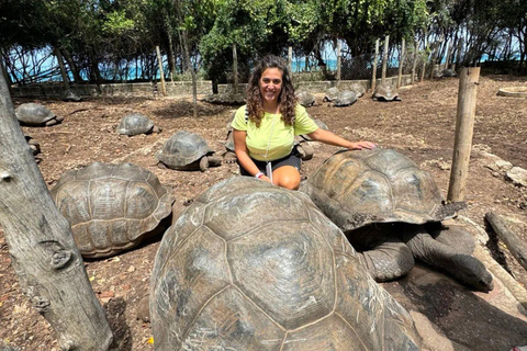 Ciudad de piedra y prisión Isla