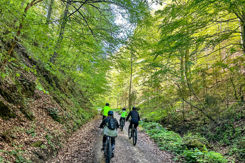 Brasov : Excursion en E-Bike à Poiana Brasov (vieille ville et forêt)