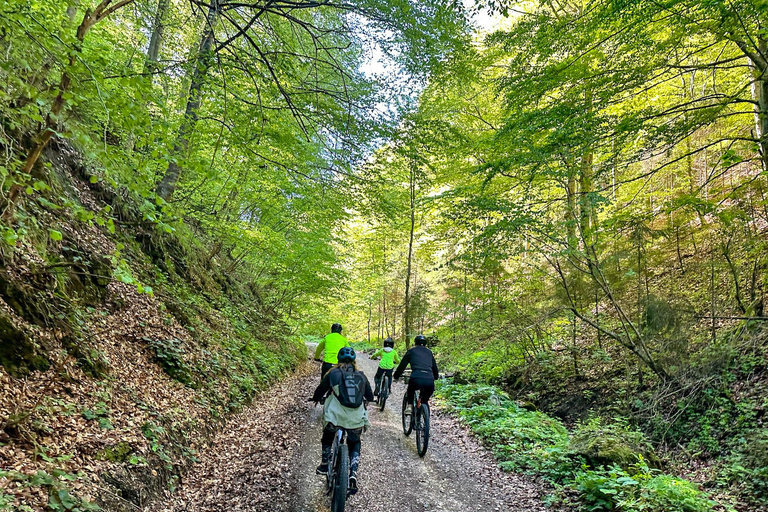 Brasov: E-Bike Tour nach Poiana Brasov (Altstadt und Wald)