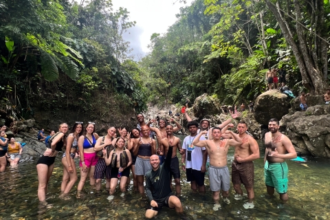 Von San Juan aus: Tagesausflug in den Regenwald und nach Luquillo