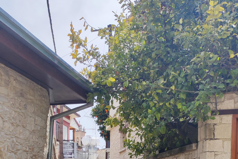 Paphos: Troodos Mountains Villages Tour with Wine Tasting