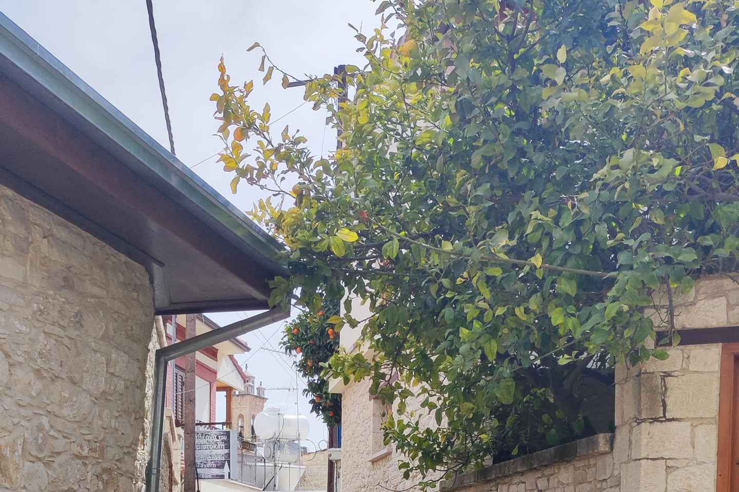 Paphos: Troodos Mountains Villages Tour with Wine Tasting