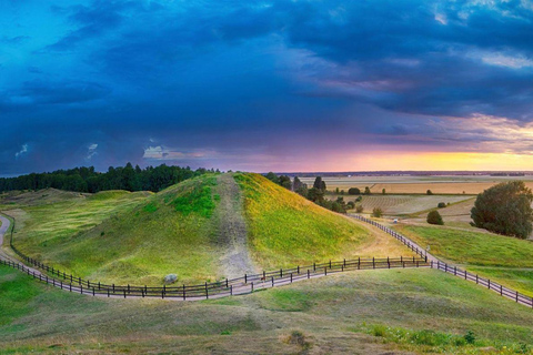 Stockholm: Uppsala Half-Day Swedish Oxford & Cathedral Tour