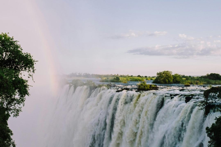 Zimbabwe & Zambia: Guided Tour of the falls from Both Sides