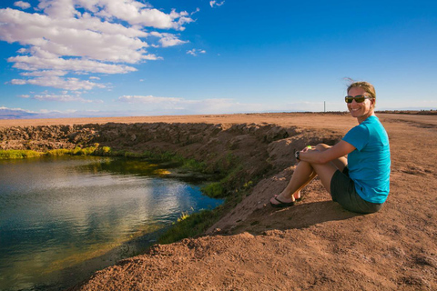 Desierto de Atacama: Refrescante Flotación en Laguna Cejar y Puesta de Sol