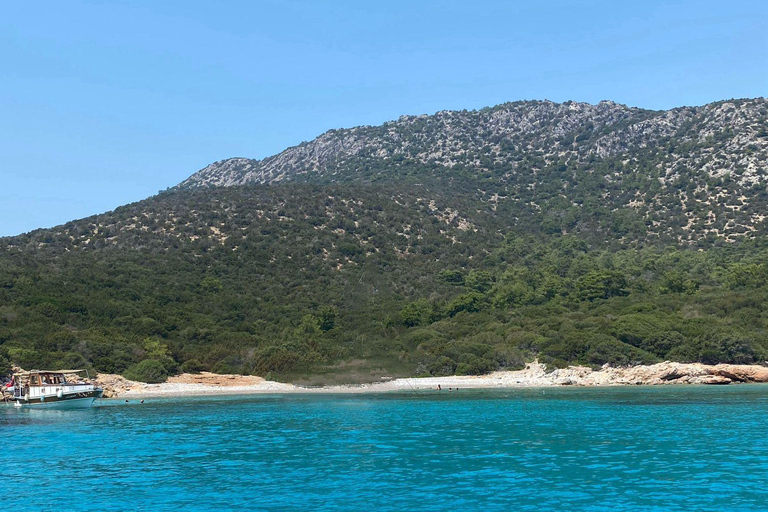 Bodrum Orak Island Boat Cruise with Lunch and Swimming