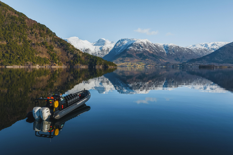 Majesteit Rosendal: Exclusief RIB avontuur in HardangerfjordRosendal: privé RIB-safaritocht door Hardangerfjord