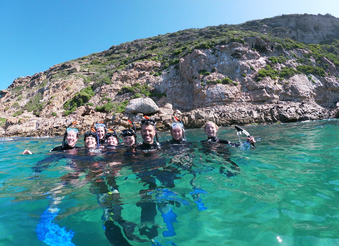 Plettenberg Bay: Svøm med sæler