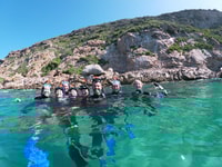 Plettenberg Bay, nuota con sigilli - Housity