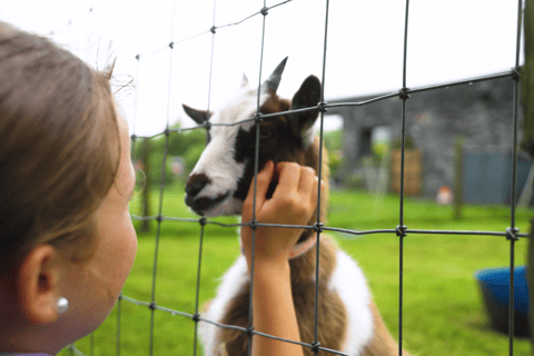 Doolin Cave Tour: Experience Europe's Largest Stalactite