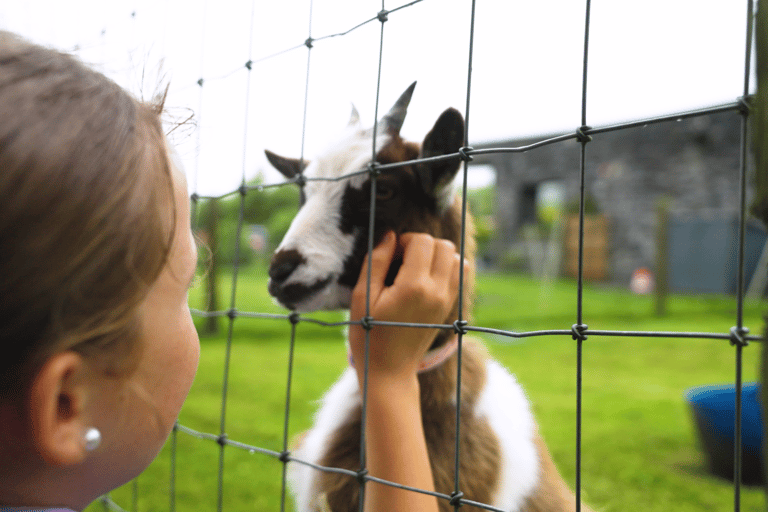 Doolin Cave Tour: Experience Europe's Largest Stalactite