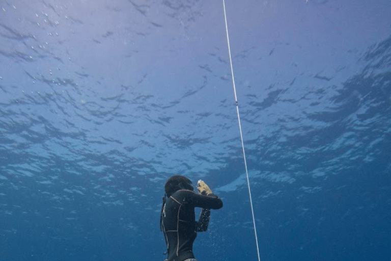 من مدينة أواكساكا: تجربة الغوص الحر في بويرتو إسكونديدو