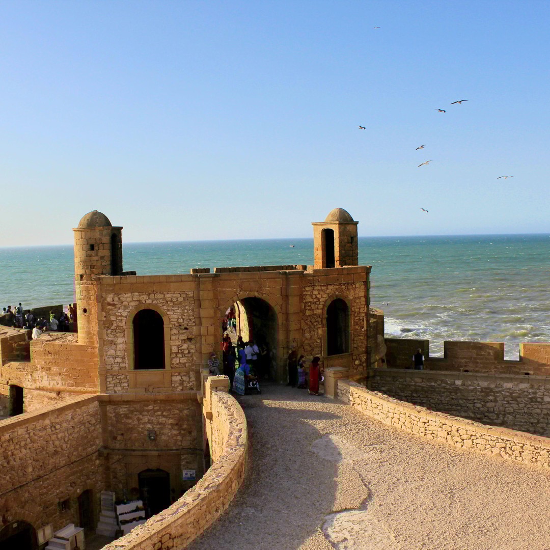 Agadir : excursion à Essaouira avec médina et plage