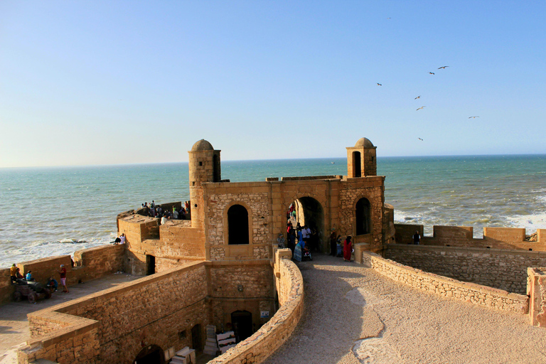 Agadir: Day Trip to Essaouira with Medina & Beach Time
