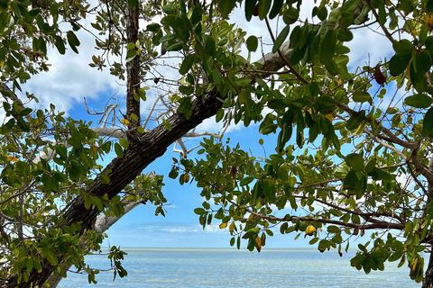 Naples, FL: Manatee, Dolphin, 10,000 Islands Sunset Cruise Sunset Cruise for Large Groups of 7 People or More